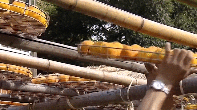 public (6).gif