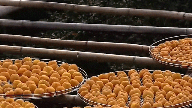 public (4).gif